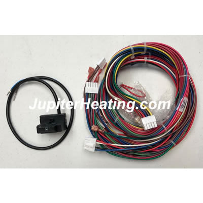 7450P-203 Elite Boiler Wiring Harness Low Wattage Low Voltage 10 Pin/20 Pin