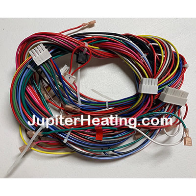 7450P-206 Wiring Harness Low Wattage Low Voltage 10 Pin/20