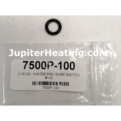 7500P-100 O-Ring for Water Pressure Switch