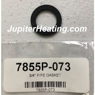 7855P-073 3/4 in. Pipe Gasket